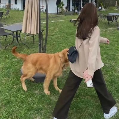 珍妮特星球在线观看