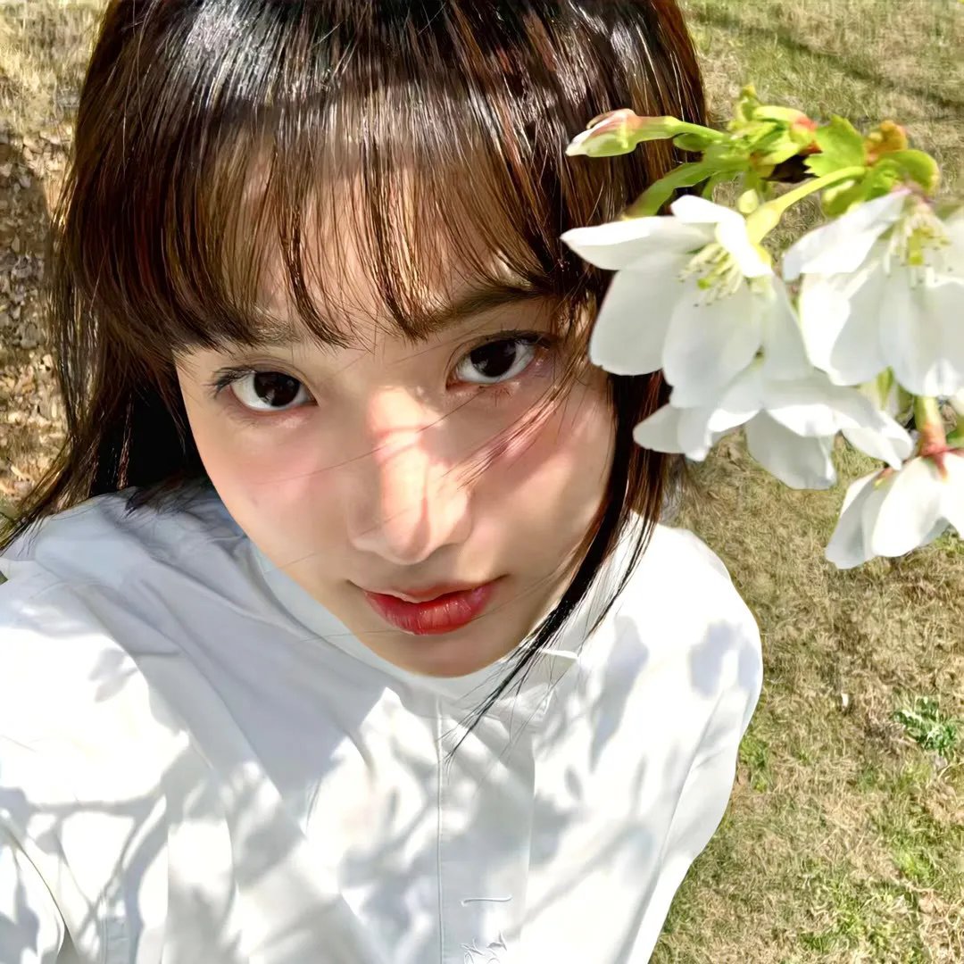 历尽沧桑一美人续集在线观看